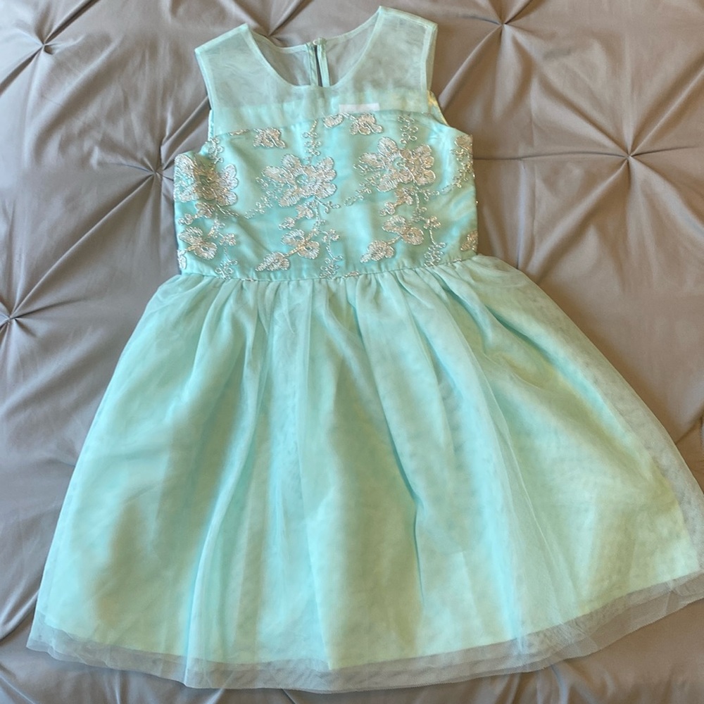 Beautiful holiday dress.